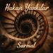 Hakan Yankılar - Sarmal