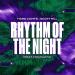 Hard Lights, Scott Rill & Mougleta - Rhythm Of The Night