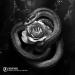 Harddope, Blvck Cobrv, Jaime Deraz - Desert Rose