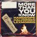 Harddope & Halvorsen & LexMorris - More Than You Know