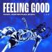 hawk., Mister Ruiz & ZHIKO - Feeling Good