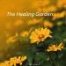 Hiromi Shikata - Healing Garden Oasis