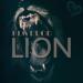 HLM.PROD - Lion