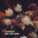 Hospital - The Silk Lake