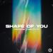 Hrederik, MALCEVS - Shape of you