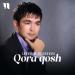 Ibrohim Qurbonov - Qora qosh