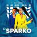 Iksiy feat. Sestra - Why Do You Cry (DJ Sparko Radio Remix )