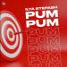 Ilya Stepash - Pum Pum