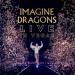 Imagine Dragons - My Life (Live In Vegas)