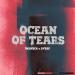 Imanbek feat. DVBBS - Ocean Of Tears