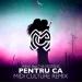Inna feat. The Motans - Pentru Ca (Midi Culture Remix)