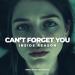 Inside Reason - Can't Forget You