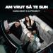 Ioana Ignat, DJ PROJECT - Am vrut să te sun