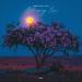 Iriser & Serj Lazar - Blooming Love