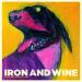 Iron & Wine - Flightless Bird, American Mouth
