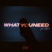 Jae Stephens feat. THEY. - What You Need