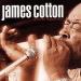 James Cotton - Cotton Crop Blues