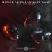 Jasted & Chester Young feat. Pryvt Ryn - Not The Same