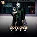Java - Zo'r Narsa