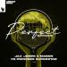 JaxJones & Mason feat. Princess Superstar - Perfect (Exceeder)
