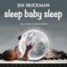 Jim Brickman - Golden Slumbers