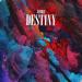 JIMBEI - Destiny