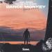 Joel Coopa feat. Kid On The Block - Dance Monkey