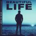 John De Sohn - Beautiful Life