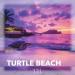 John Reyton & Offkeda - Turtle Beach