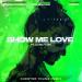 Jonas Schmidt & Van Snyder feat. Laura Klein & Torok - Show Me Love (Chester Young Radio Edit Remix)