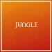 Jungle - Back On 74