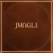 Jungle - Carry On