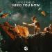 Jyye & Shells - Need You Now
