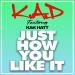 K.A.D feat. Kak Hatt - Just How You Like It (Main Houdini Edit)