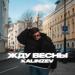 KALINZEV - Жду весны