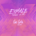 Kenzie & Sia - EXHALE (Pink Panda Remix)