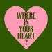 Kevin Mckay & Brian Smith - Where Is Your Heart_ (Kevin Mckay Vip)