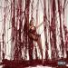 Kiana Lede - Too Many Strings