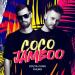 Kolya Funk & PHURS - Coco Jamboo