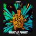 Kooky - What is Funky