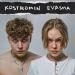 kostromin, EVASHA - Сумасшедший 
