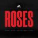 Kroma, Amero, New Beat Order & Seeko - Roses