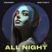 KSHMR feat. Gritney - All Night