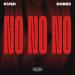 KVSH & DVBBS - No No No
