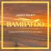 LaRoxx Project - Bambaloo (Sandrocks Holiday Mix)