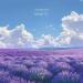 lavender home - Magnetic