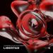 Leandro Da Silva feat. Dober - Libertad