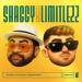 Limitlezz & Shaggy - Boombastic