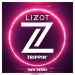 Lizot - Trippin' (TMW Remix)