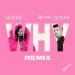 Lizzen feat. Robin Thicke - Why Remix